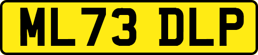 ML73DLP