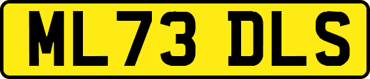 ML73DLS