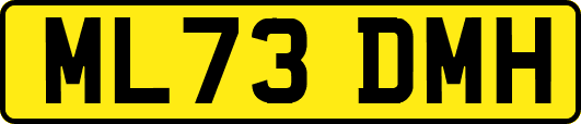 ML73DMH