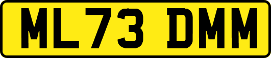 ML73DMM