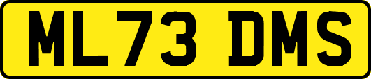 ML73DMS