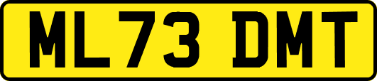 ML73DMT