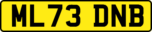 ML73DNB