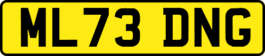 ML73DNG