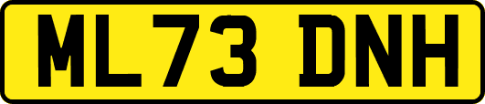 ML73DNH