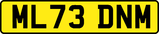 ML73DNM