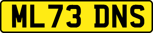 ML73DNS
