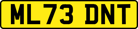 ML73DNT