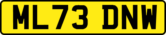 ML73DNW