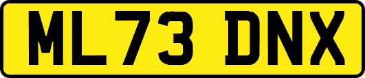ML73DNX