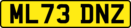 ML73DNZ
