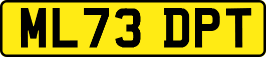 ML73DPT