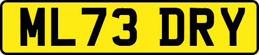 ML73DRY