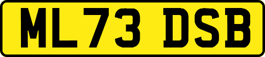 ML73DSB