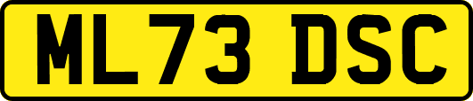 ML73DSC