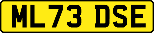 ML73DSE
