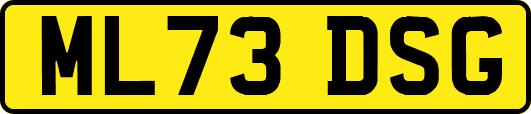 ML73DSG