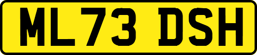 ML73DSH