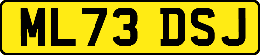 ML73DSJ