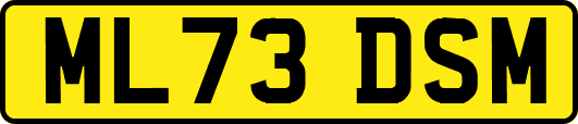 ML73DSM