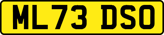 ML73DSO