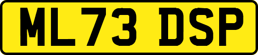 ML73DSP