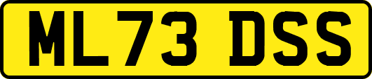 ML73DSS