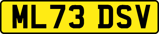 ML73DSV