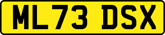 ML73DSX