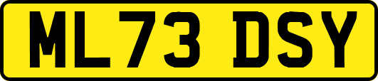 ML73DSY