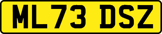 ML73DSZ