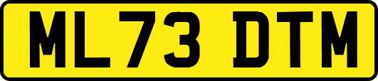 ML73DTM