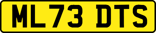 ML73DTS