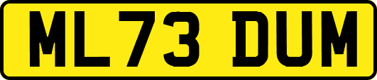 ML73DUM