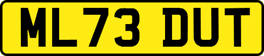 ML73DUT