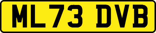 ML73DVB
