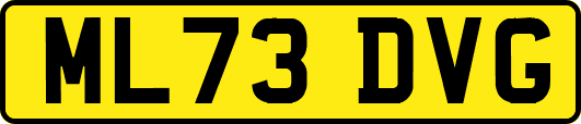 ML73DVG