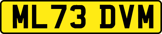 ML73DVM