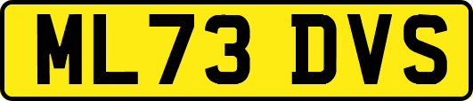 ML73DVS