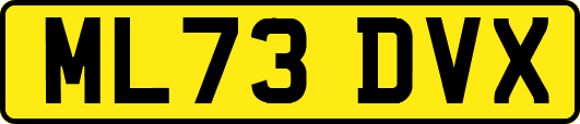 ML73DVX