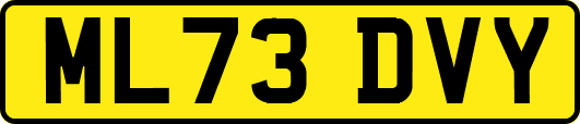 ML73DVY