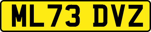 ML73DVZ