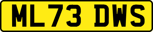 ML73DWS