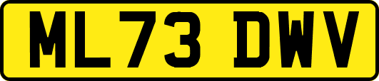 ML73DWV