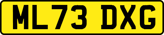 ML73DXG