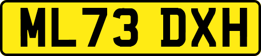ML73DXH