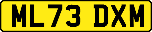 ML73DXM