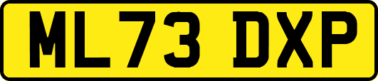 ML73DXP
