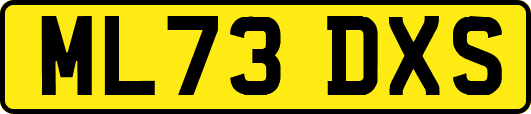 ML73DXS