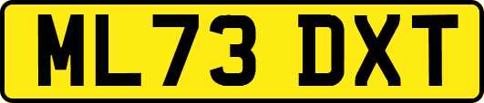 ML73DXT